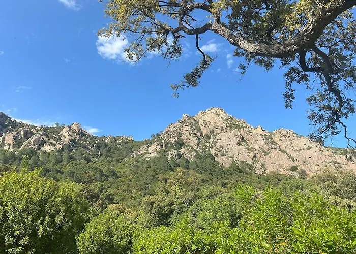 Punta Di L'ortu House Conca